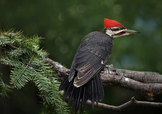 EXPLORA NATURA tweet media