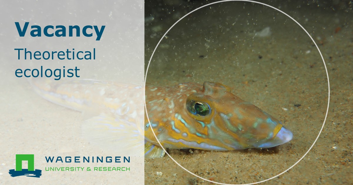 #Vacancy | <a href="/WURmarine/">WUR Marine</a> is looking for an ecologist with experience in dynamical modelling, or a quantitative scientist with a clear interest in and affinity with (marine) ecology. Do you want to work with us in IJmuiden? Apply before 26 April ➡️ wur.nl/en/Research-Re…