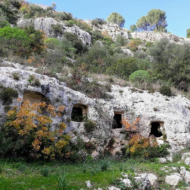 Return to the past.

#pantalica #archeology #archeologicalsite #tombs #necropolis #naturetrail #naturalreserve #localguide #trailsofsicily #szlakamisycylii #Sycylia #sitoarcheologico #outdoorslife #exploresicily #hikingadventures #hikingguide #livelovesi… ift.tt/3an0BEO
