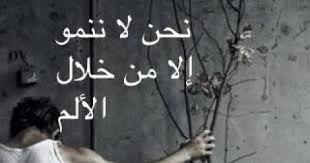 sameh_esaa's tweet image. 