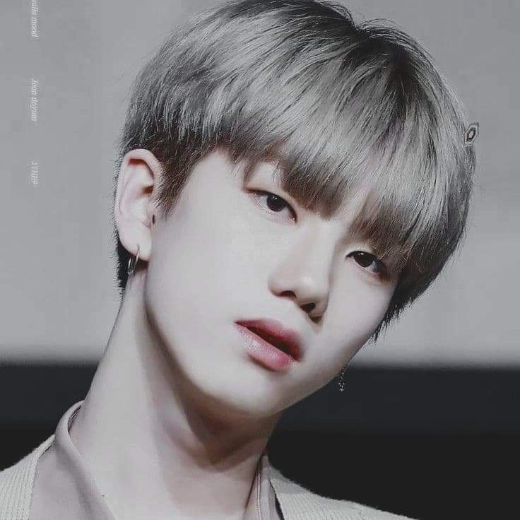 ◦•●◉✿ 𝕷𝖆𝖒𝖇𝖔 ✿◉●•◦ @la tweet media