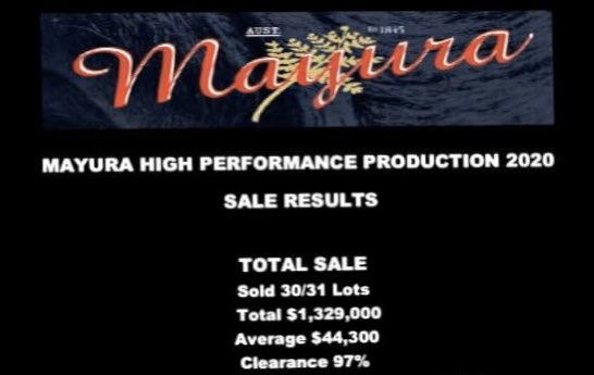 SNAP!  World Record $68K per straw for performance recorded Wagyu EBV backed supreme marbling genetics.  Congrats to <a href="/MayuraStation1/">Scott de Bruin</a> <a href="/irongateWagyu/">Irongate Wagyu</a> @hugh_killen <a href="/AustWagyuAssoc/">Aust Wagyu Assoc</a> <a href="/macqdowns/">Chantal Winter</a> <a href="/SBTSTBTS/">ABRI Extension Services</a> <a href="/AGBU_GENE/">AGBU_GENE</a>