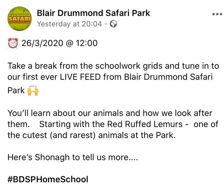 Mrs Morrison tweet media