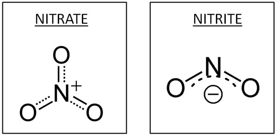 VerdierMathild2's tweet photo. Les nitrates ne sont pas en eux-mêmes dangereux pour la santé mais c'est leur transformation en nitrites, assurée par les bactéries intestinales, qui présentent un danger. En effet ils sont cancérigènes pour le tube digestif. ⏬ https://t.co/Tkzgydhhtx