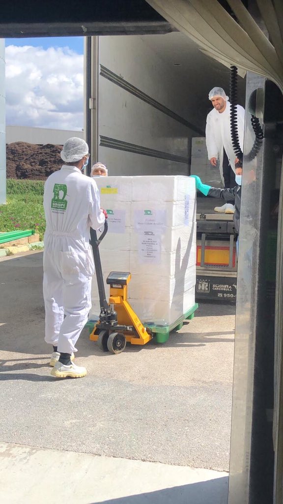 ELEPHANTVERT's tweet photo. #DesertLocust We are not forgetting our commitment to East Africa. Happy and relieved that in this particular context, the team succeeded in sending more than 2,500 kg of our #biological solution based on Metarhizium Acridum, which will allow to treat more than 50,000 hectares 👏 https://t.co/ta7NKUGspd