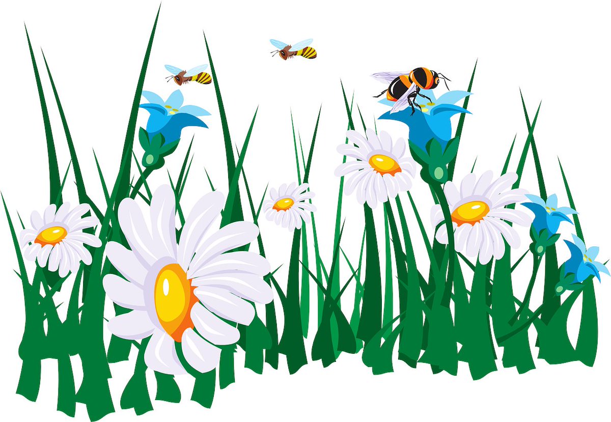 eTwinning Polska tweet media