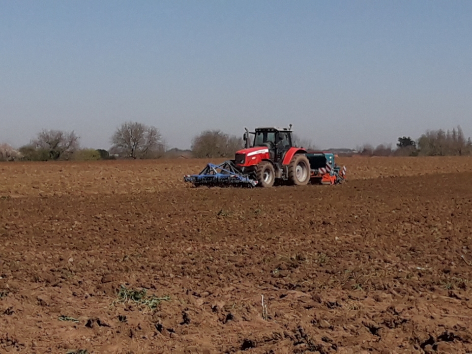 CAVAC_'s tweet photo. 👏 Nos agriculteurs aussi gardent leurs enfants pendant cette période. 
➡️Un exemple à Sainte-Cécile, chez Alexis, où même la plus petite 👧 aide à nourrir les animaux. 🚜 Alexis part ensuite semer de l'orge de brasserie 🌾🍺! 
#PositiveAgriculture
#Onvousnourrit
#Fiersdecooperer https://t.co/CA7aTO9ApN