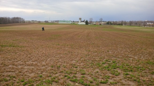 Check your alfalfa stands this spring for winterkill and injury, and make a plan. Don’t be caught short of feed!
qualityseeds.ca/post/check-alf…