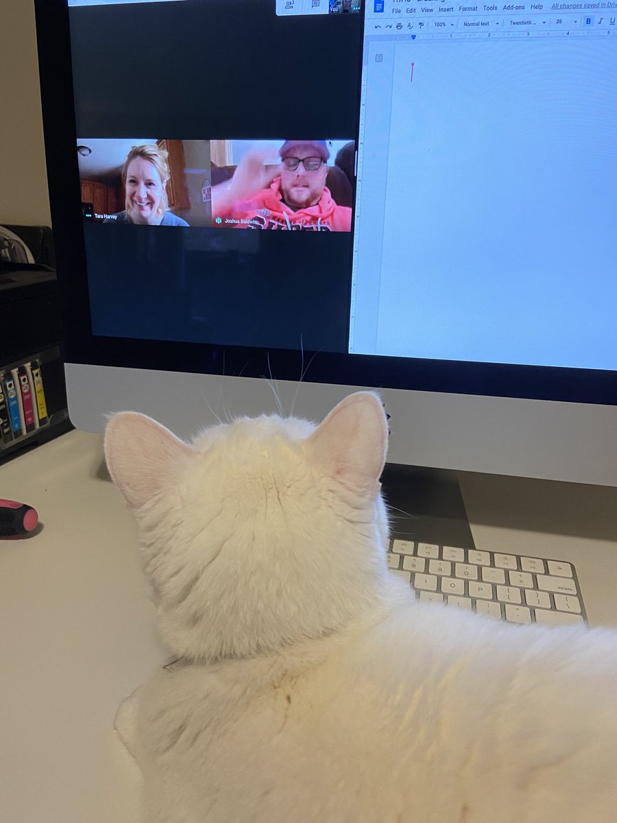 Collaborating this morning with <a href="/taraharv/">Tara Harvey</a> and <a href="/jrb953/">Joshua Baldwin</a>. Surprise appearance from my new coworker! #InThisTogetherLPS