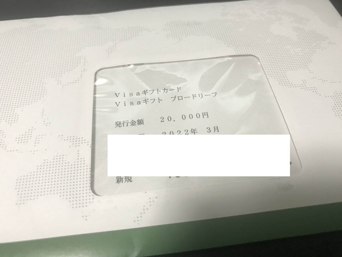 W On Twitter 3673ブロードリーフから優待のvisaギフトカードがｷﾀ ﾟ ﾟ 今回も時間差クロスに成功して取得経費はゼロ円となりました ﾟ ﾟ B デザインはオシャレですが使いにくいんですよねこれ W 画像加工のために再投稿しました Https T Co