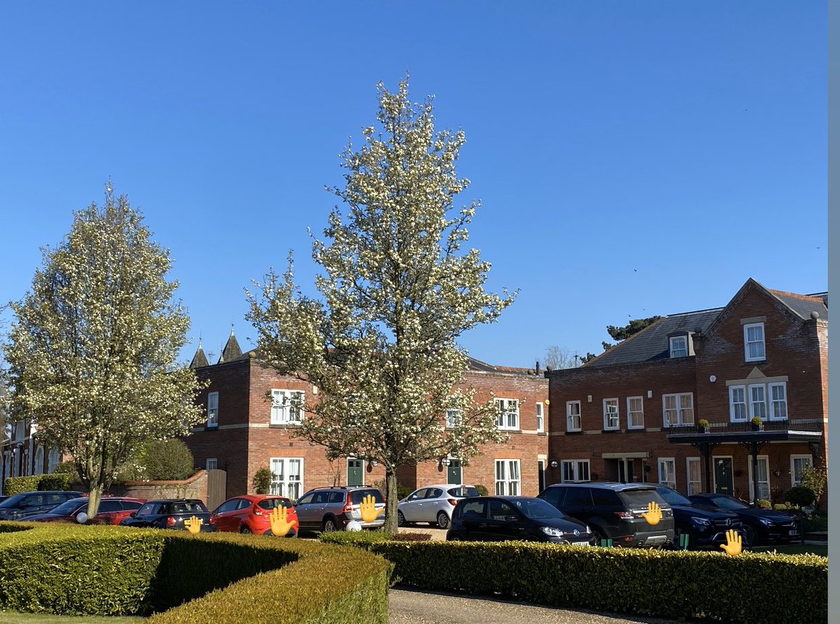 Free parking when working from home on the Bostock Estate
         🚘👩‍💻👩🏽‍💻👨🏼‍💻👨🏻‍💻👨🏽‍💻👨‍💻🚙