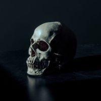 💀 Cain Campbell, Writer tweet media