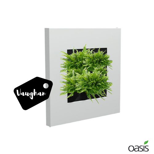 Order Vaughan, the wall planter for your #homeoffice today. Inbox us at info@oasisplants.co.uk for more info! #sharethesmile #wfh #stayathome #staysafe #plants #Health #HealthForAll