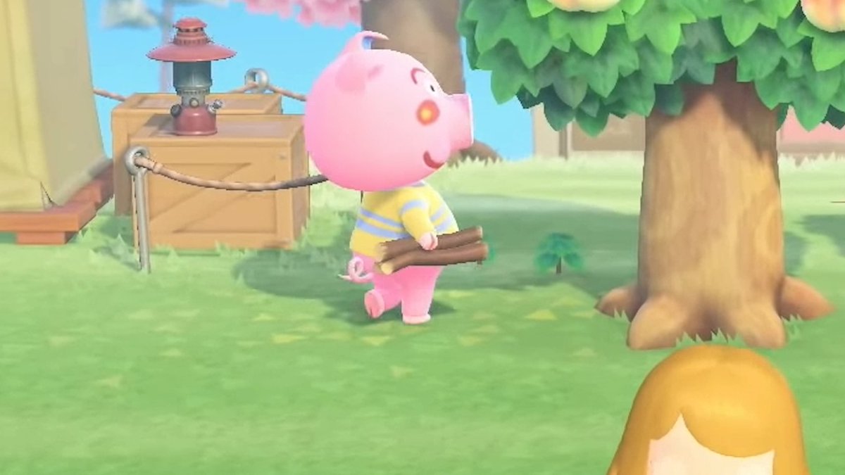 コアラ あつ森 えそそ Motherコレクター ニンダイでハムカツの姿確認 任天堂 遂にハムカツの人気度わかっちまったか 明らかにハムカツの知名度upと人気キャラに押し上げた功績はえそちゃんにあると思うので公式にうちの美少女えそそを使って