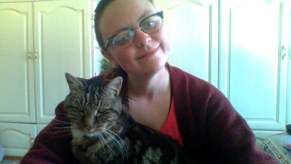 rosieknapp's tweet photo. WFH question: if Charlie (the cat) comes to enough of my skype meetings, does he get an honorary PhD? https://t.co/3OXsqWMo01
