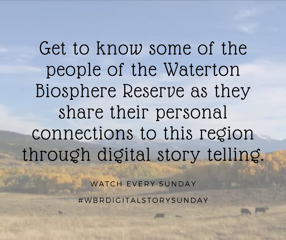 We want to re-share with all of you our Digital Stories Project. The stories were crafted by a diverse group of WBR residents and share a range of perspectives on this special place.
 
Once a week we will showcase a #WBRDigitalStorySunday. Stay tuned for this week's feature!