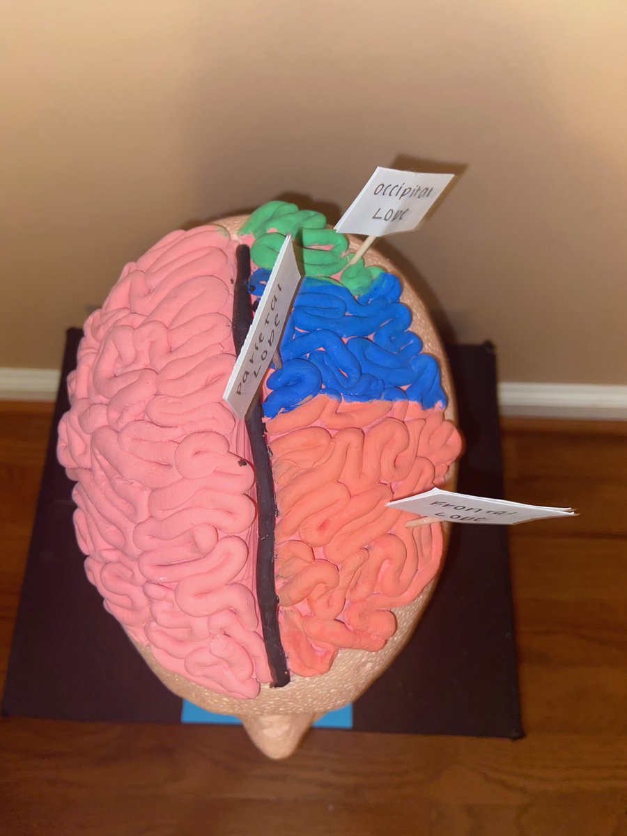 AF_TSA's tweet image. Here is an amazing biotech project about how to make sports helmets safer! (Made by Melanie K, Catherine W, Katelyn F, Lily H, and Isadora A)