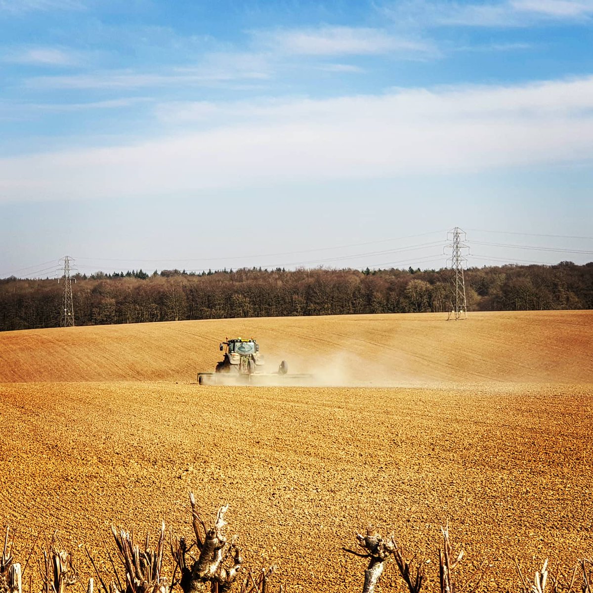 AndyRamsay2's tweet image. Lovely day for a cycle. #Hampshire #fourmarks #staysafe #cycling