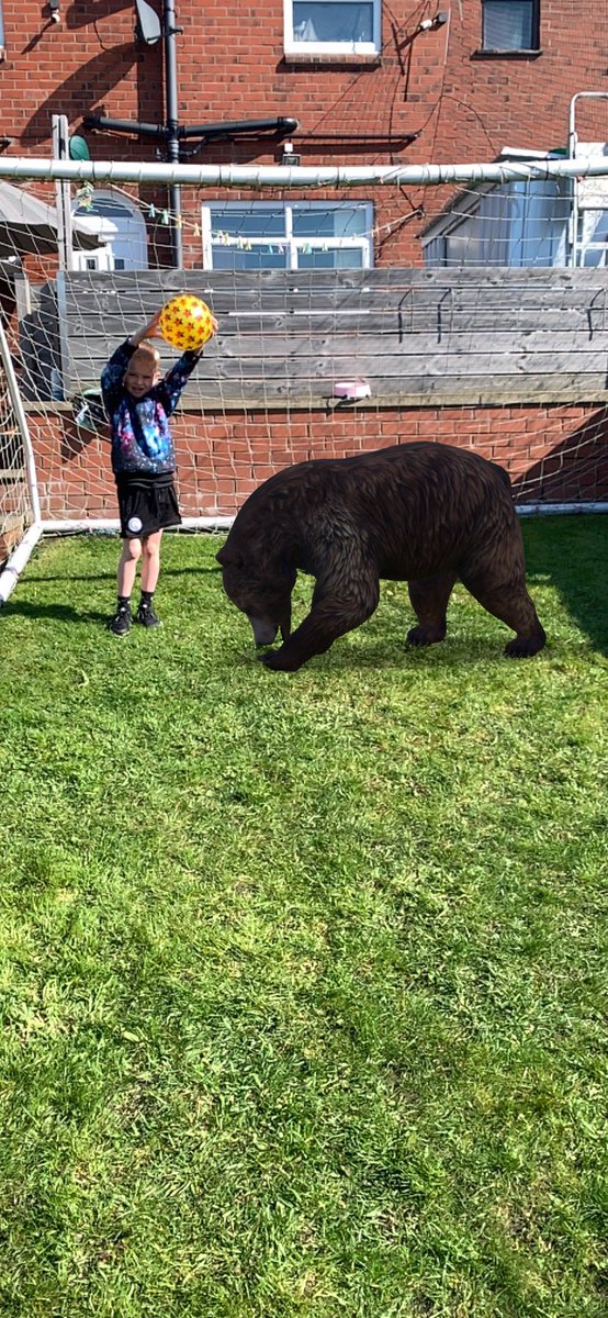 I think this bear has an unfair advantage! 🐻Use google to look at life size images of animals in your home. Simply google the animal, then scroll down to view in 3D. So far we’ve done the bear, lion, tiger, penguin and hedgehog. Share your images with us!
