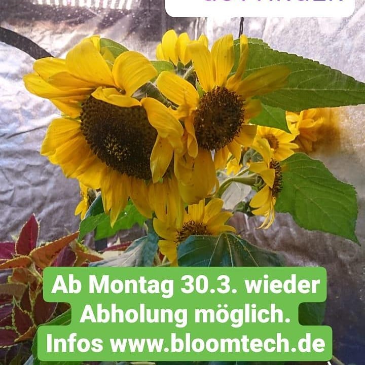 _Bloomtech tweet picture