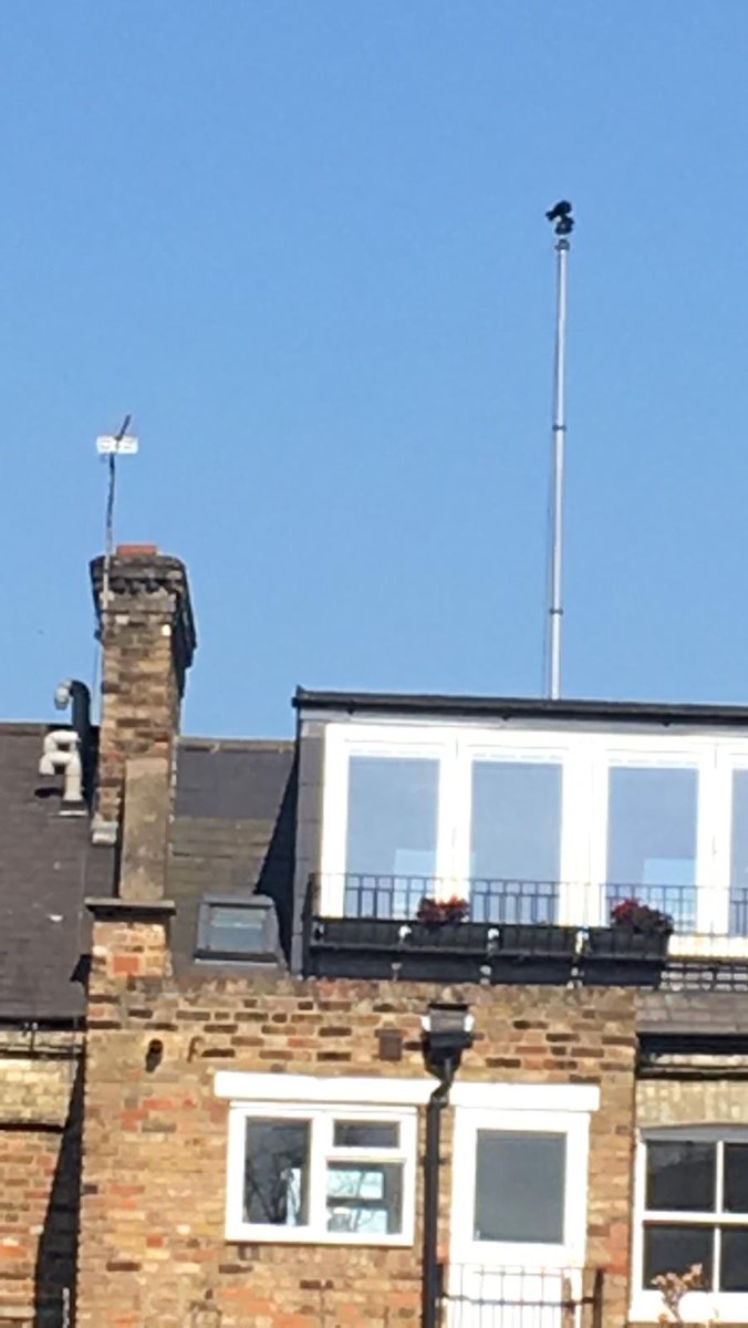 AmyGilchrist19's tweet photo. Anyone know what these are about? #upshot #camera #surveillance #thermalimaging https://t.co/CIVNSj8LcR