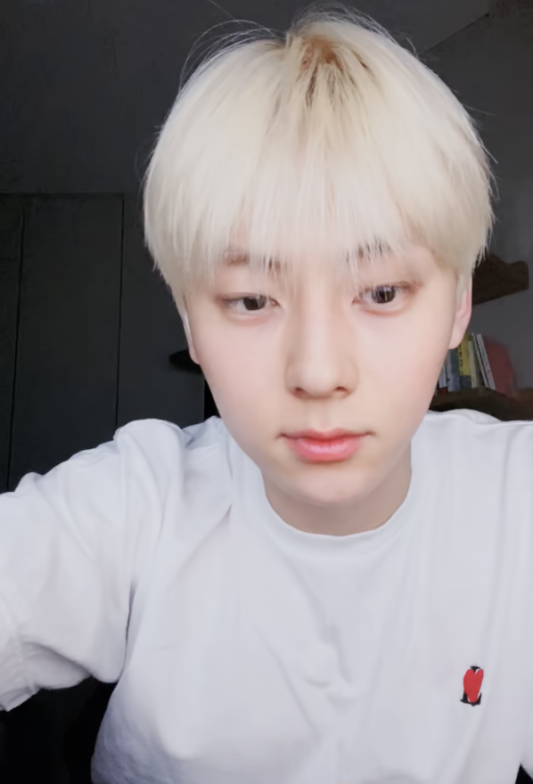 v_v2017v_v's tweet photo. 약간 질풍노도냥 https://t.co/J6jmIToptj