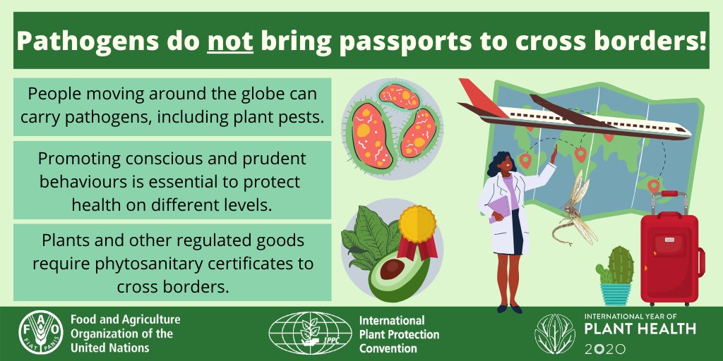 📢 Viruses &amp; diseases do not bring passports!

The current #COVID19 outbreak is showing that the world must be extra careful with travel of people &amp; be ready to tackle any emergency.

Promoting prudent behaviours is essential to secure health at different levels.

#PlantHealth 🌿
