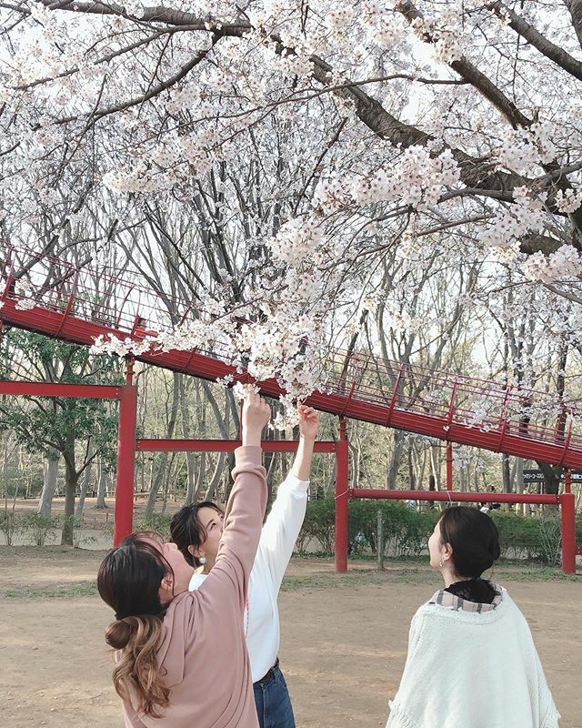 cocolove0213's tweet photo. .
第２回アンデルセンピクニック🌸
今年はえみなも参加できたし
満開だったし滑り台楽しかった笑
来年はBBQの予定です‼︎ https://t.co/ECDjmU62Sj https://t.co/gNrTPv0BB3