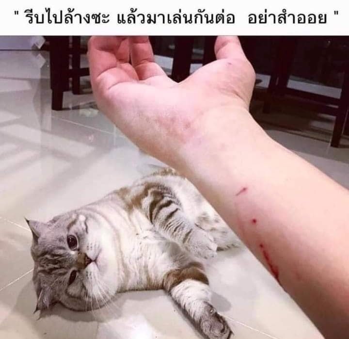 jenniemilkplusx's tweet photo. เข้าใจไหม @J9lostinswh https://t.co/lxGTtqpFoc