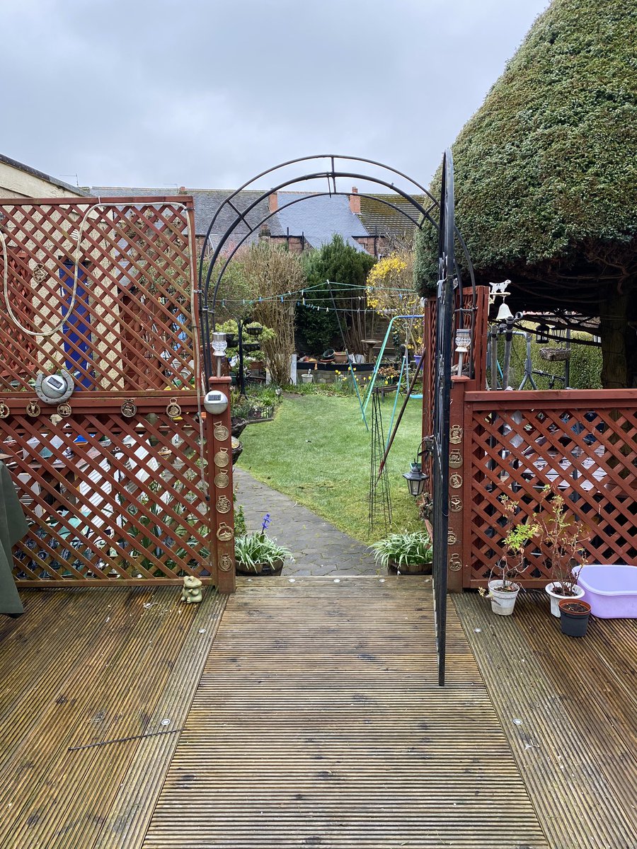 AmandaJDee's tweet photo. Cracking commute to the office this morning. Even a grand place to park the bike. #workingfromhome #PhDlife #PhDchat #PostDoclife #PostDocChat #gardenworking #myworkinglife #wintergarden https://t.co/N7251dTdnD