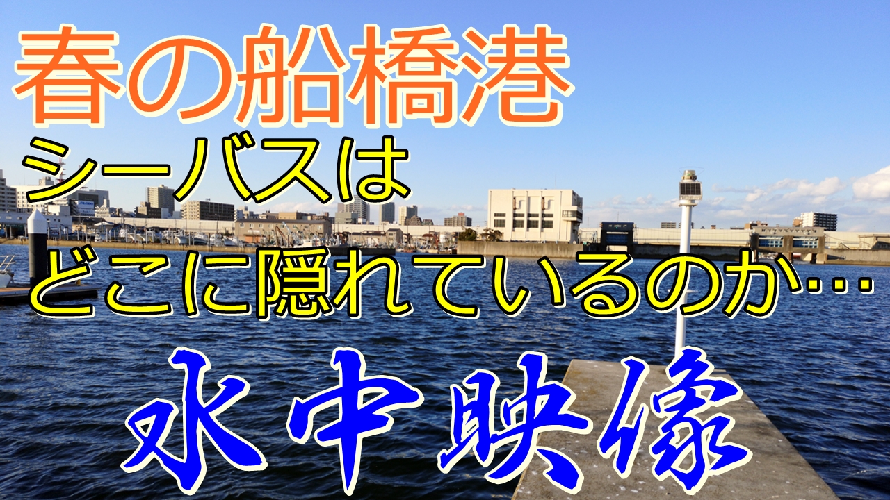 船橋港 Twitter Search Twitter