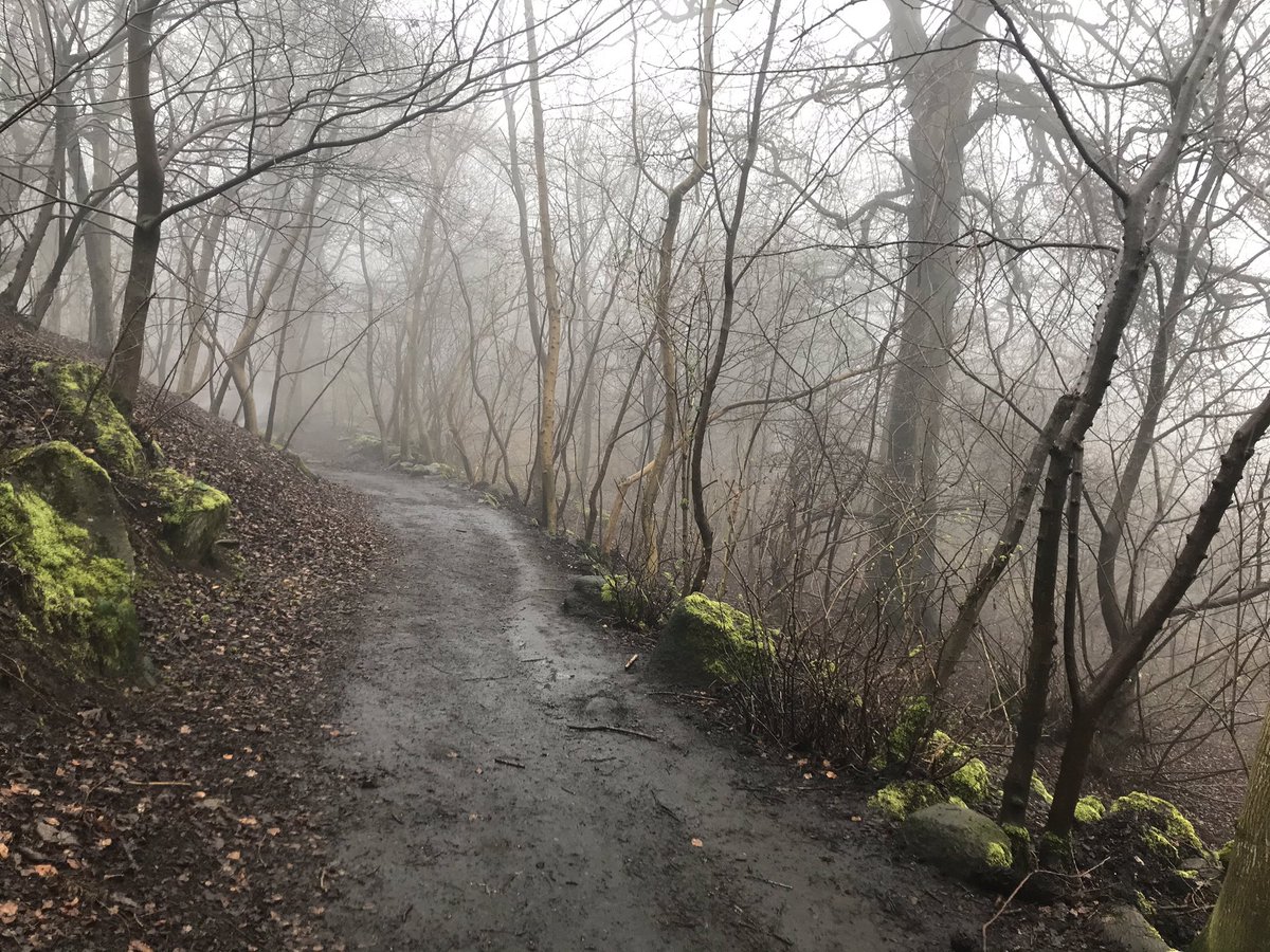 budgetedinburgh's tweet photo. Getting some exercise during #lockdown, Corstorphine Hill is looking spooky yet #beautiful! Still one of favourite places to visit!
https://t.co/4cvz48cqyB https://t.co/p0soBcfC0w