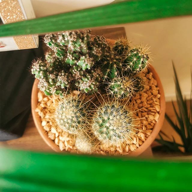 Osomi Design Agency tweet media