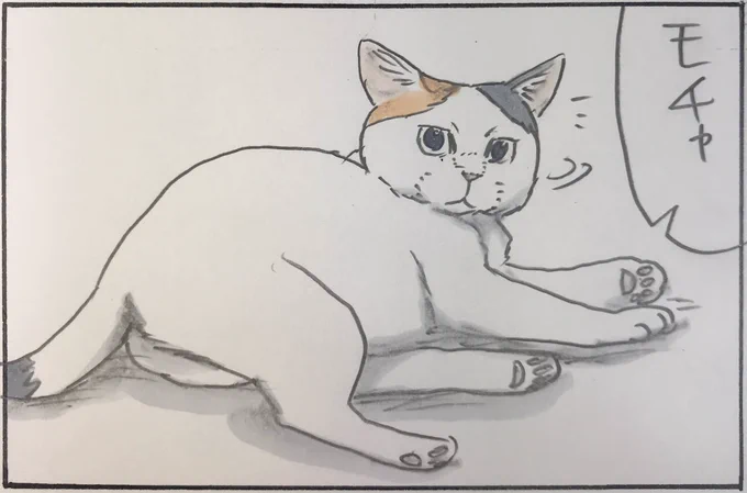 『モチャが来ない』 