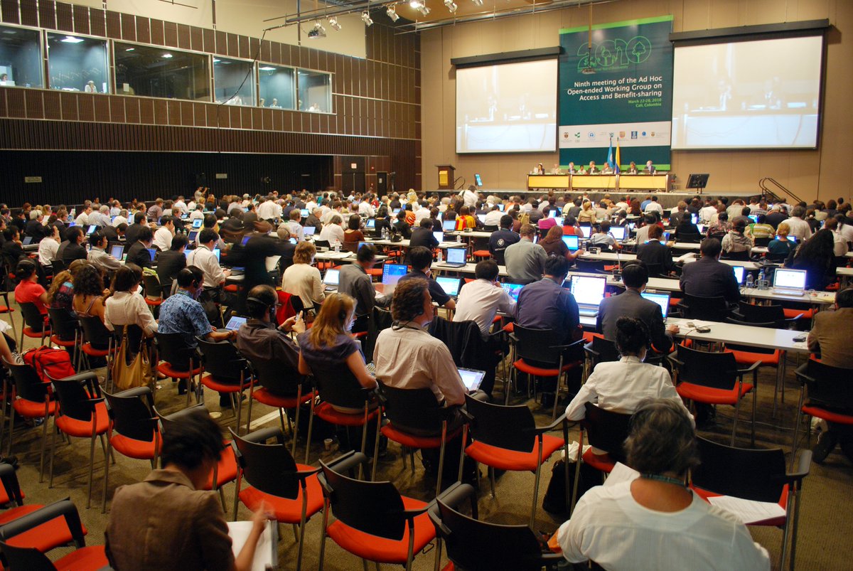 Earth Negotiations Bulletin tweet media