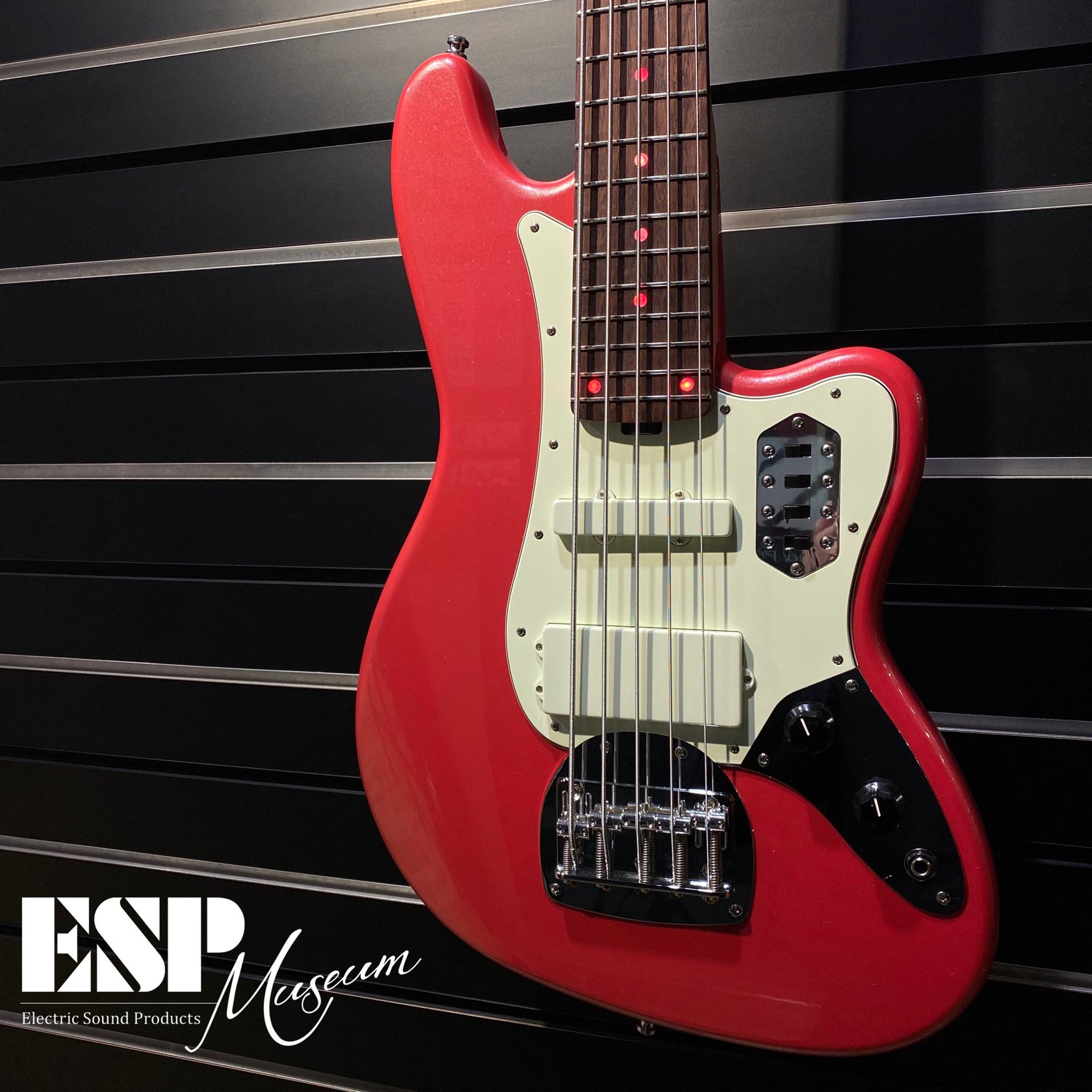 【新品同様・試奏のみ】ESP BASS V ESP BASS V｜L'Arc～en～Cielの1999年の伝説の野外ライブツアー