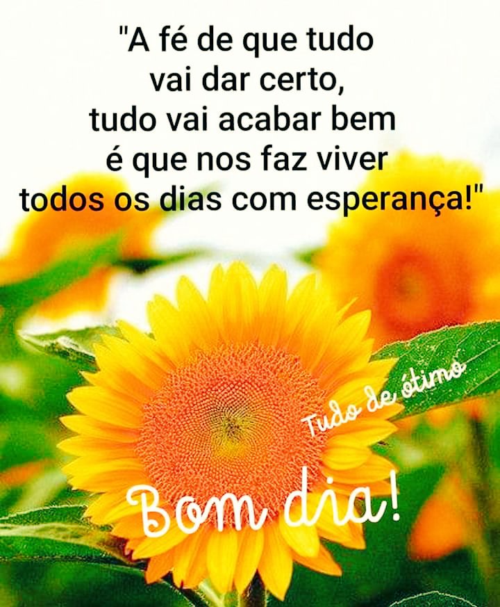🌹Mara Lúcia🌹 on Twitter: 🌹Mara Lúcia🌹 on Twitter: