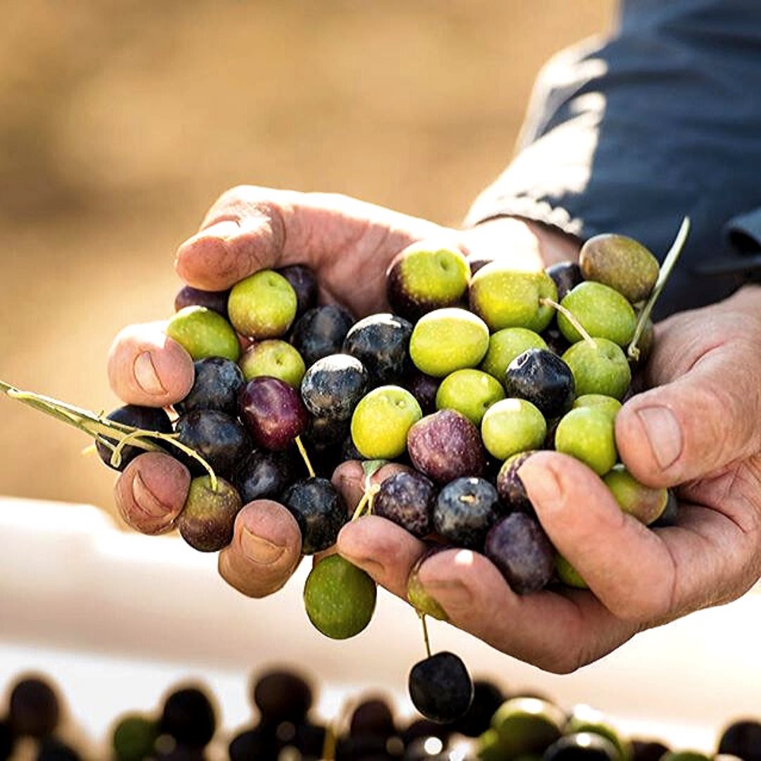 Gracias a tod@s ell@s que siguen trabajando para nosotr@s !
#FelizJuevesATodos 
#yomequedoencasa #QuedateEnCasa #Quédateencasa   #ResistireEnCasa  #Resistiré #resistiremos #EstevirusloParamosUnidos