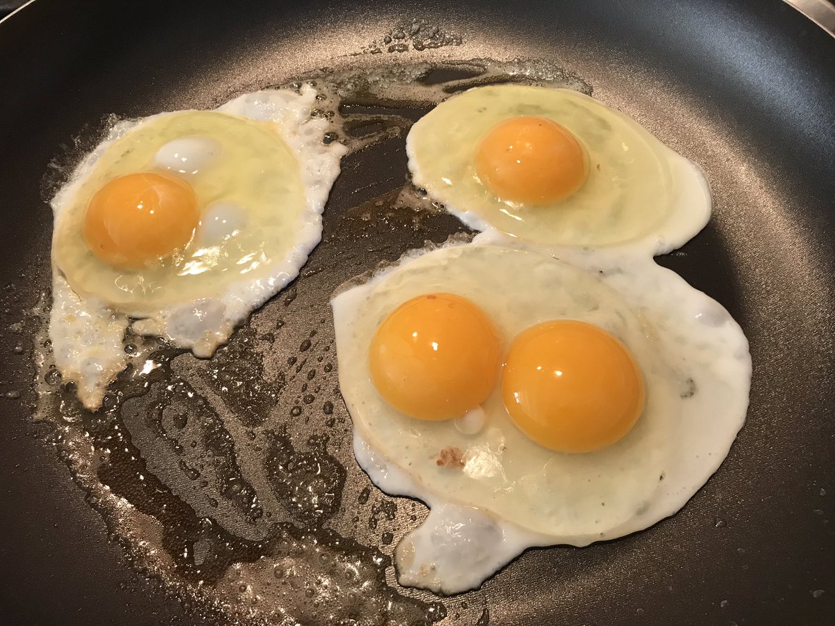 Lucky day! One of our hens laid a double yolker! #hens #eggsforbreakfast #doubleyolker #homereared #hensathome
