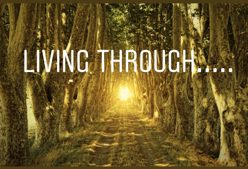 Commtherapy's tweet photo. Living through.....| New CTN website | Neurodigest | EQOL - https://t.co/859B4HGnhC

#epilepsy #qol #qualityoflife #communitytherapy #EQOL #communityrehabilitation #PurpleDay2020 @epilepsyaction @communityneuro @youngepilepsy #epilepsyawareness @purpleday @matthewsfriends https://t.co/OSv5prwZQ3