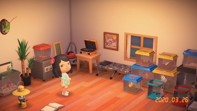 けけ だい みょう