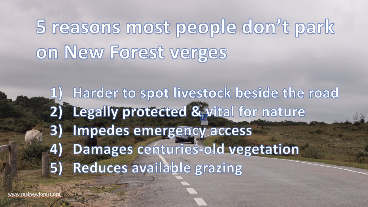 New Forest CDA tweet media