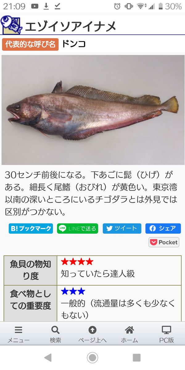 טוויטר ゆうきの魚料理 בטוויטר どうぶつの森でドンコが川にいるのってこーゆー事だったんですね T Co Xhlctlhhb2