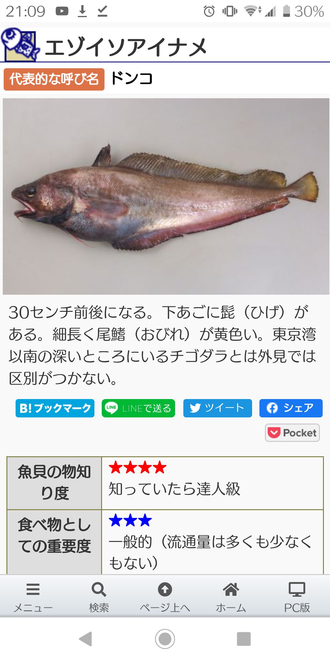 טוויטר ゆうきの魚料理 בטוויטר どうぶつの森でドンコが川にいるのってこーゆー事だったんですね T Co Xhlctlhhb2