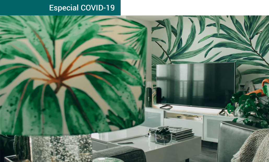 guiaverdecom's tweet photo. . @AEPJP lanza la campaña #MiJardínEnCasa para promocionar las plantas de interior➡ https://t.co/2DetVyMRzy Iniciativa para crear el mayor jardín virtual con plantas de interior #AEPJP  #AhoraFloresyPlantas https://t.co/Pwyx1Ygmif