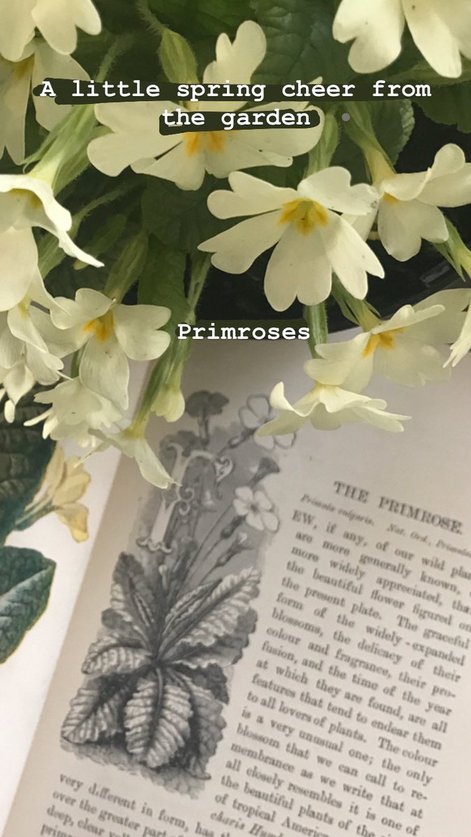Flowers certainly help at difficult times x