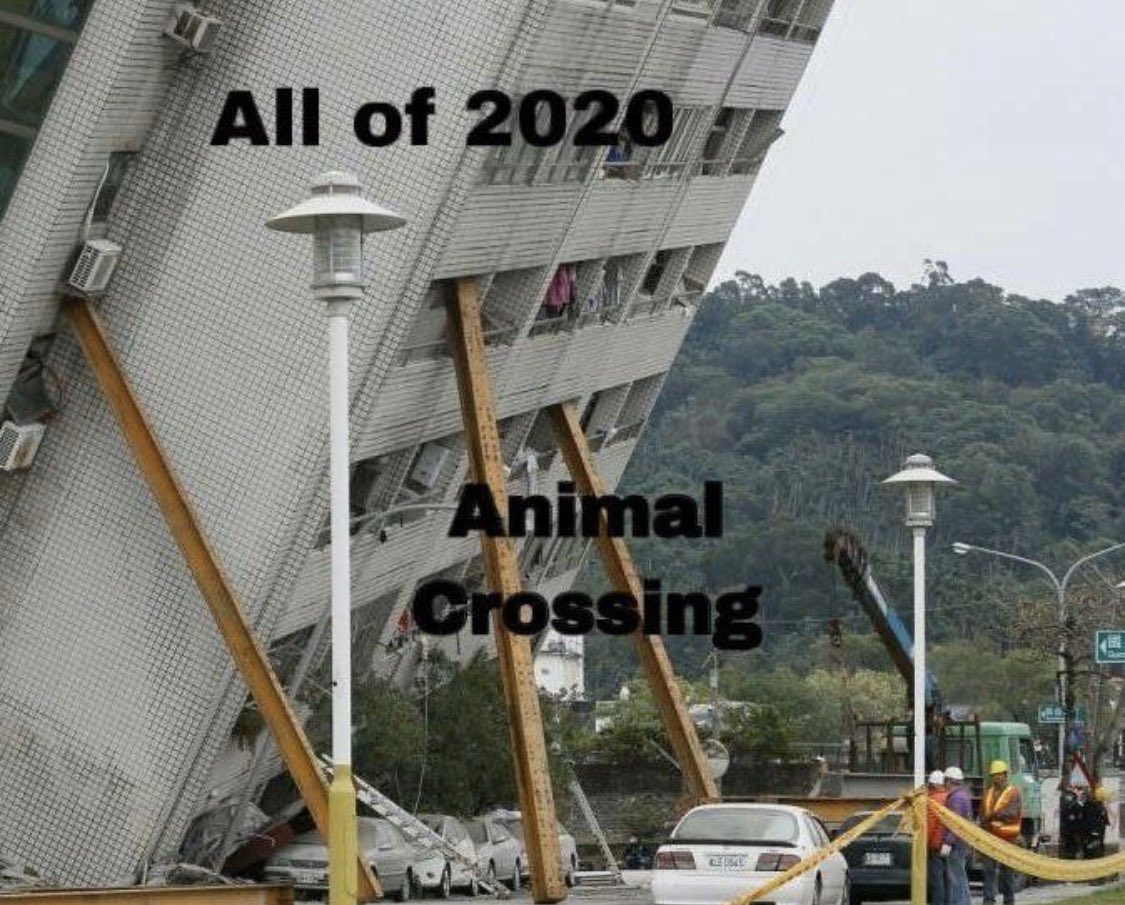 Shumway90's tweet image. Musste an @flovarion denken 😂 #AnimalCrossing #StayAtHome