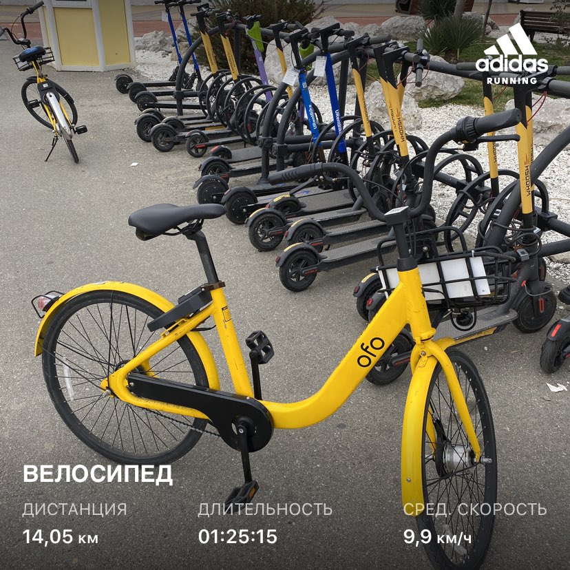 Патрулировал набережную города #Сочи