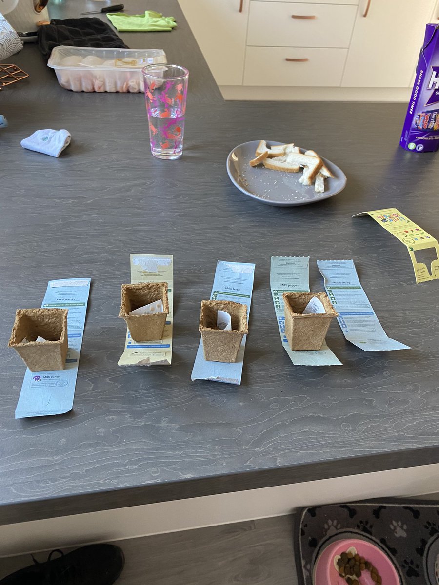 samwal01's tweet image. Learning how to plant seeds today thanks to @marksandspencer #littlegarden great for filling a morning!!!