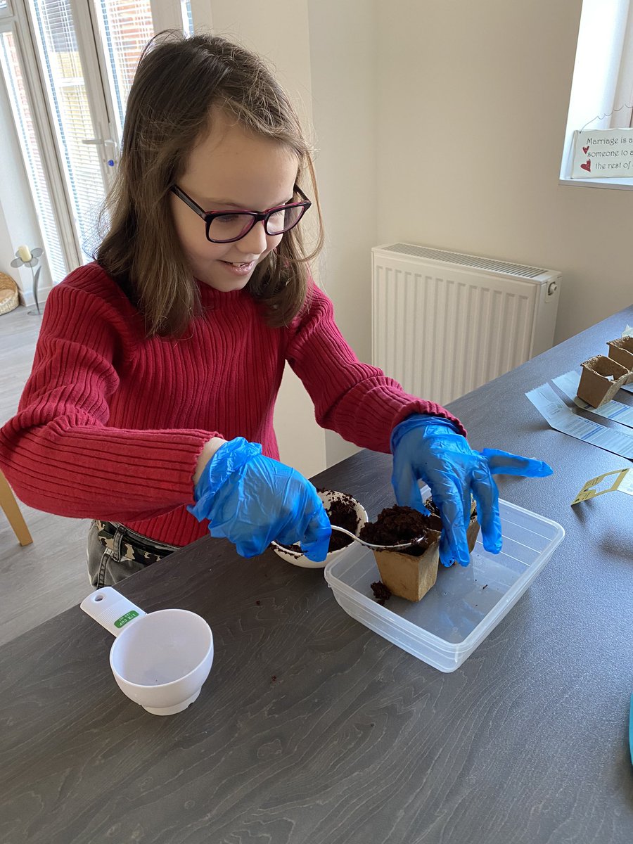 samwal01's tweet image. Learning how to plant seeds today thanks to @marksandspencer #littlegarden great for filling a morning!!!